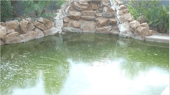 Why Is My Swimming Pool Water Turning Green?